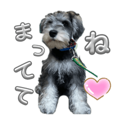 Mitiko_20231220004932