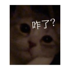Claira_20231220014511 – LINE stickers | LINE STORE