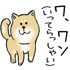 Shiba Inu in dog language