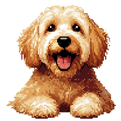 Pixel Art Labradoodle Gold fur Dog