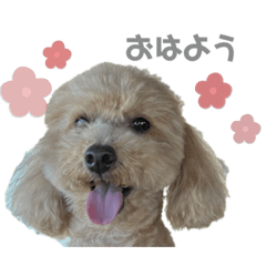 kana_20231219223432