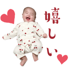 sakura_20231218131937