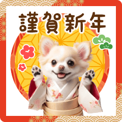 Chihuahua New Year's card