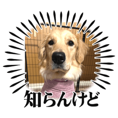 hibiwotumugu_20231218223136
