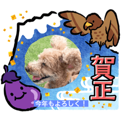 nao_20231220101852
