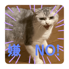 NAO_20231219001653