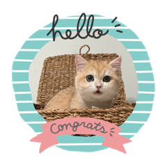 ELLA joy to the world – LINE stickers | LINE STORE