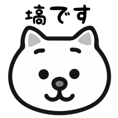 Hanawa cat stickers