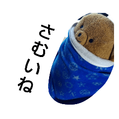 nekoyamasan_20231219124450