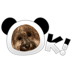 moko817