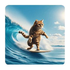 a cat surfing