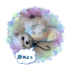 yuka_20231220170409