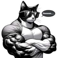근육 고양이 쿨 스탬프!