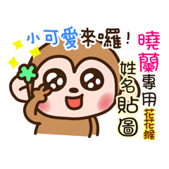 flower monkey please love me 806