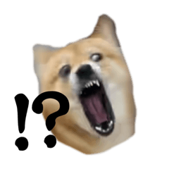 も・お・ひ・む・こ・ぺ