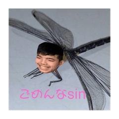 Nora_20231220070356