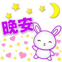 Cute White Rabbit - Happy & Practical