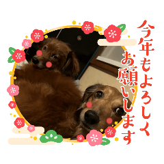 SAKURA_20231221171738