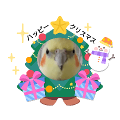 ４羽のインコ3(冬あり)