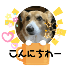 Rinsutappy_20231221205456