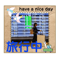 我們這一家♡秋天菊花真美麗♡