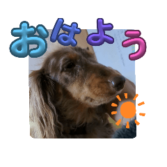 Junko_20231221203535