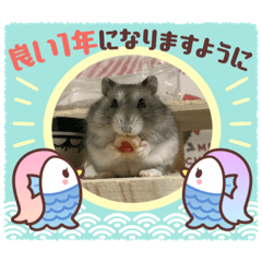 hamchoco_20231222131933