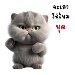 Grey Cute Persian Cat V.1