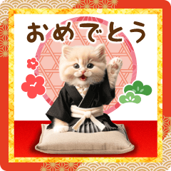 Cute cat new year's card