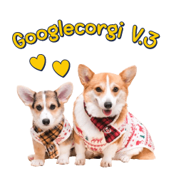 Googlecorgi V.3