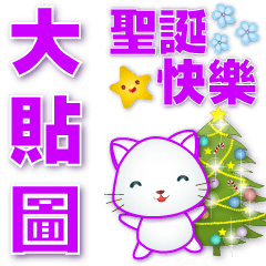 大貼圖 可愛白貓 全年實用語貼