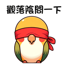 觀落鸚金頭凱克