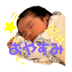 tanuki_20231222145118
