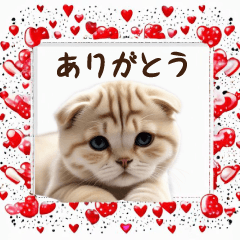 scottish fold cat Sticker2 by keimaru