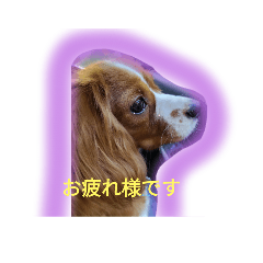 SHELLY_20231222214055
