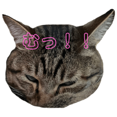 yuka_20231222200115
