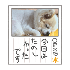 kana_20231222225118