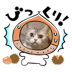NAO_20231222235519