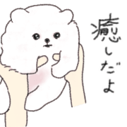 Chashiro Pomeranian