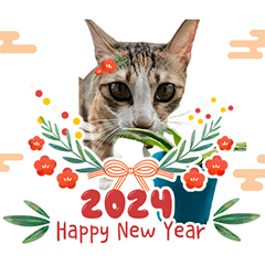 2024happay new year