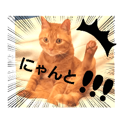 oto1028_20231223091415