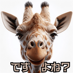 The Giraffe chan