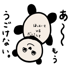 Panda with onigiri eyes