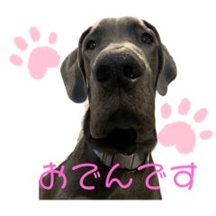 Oden the Dane_20231222071507