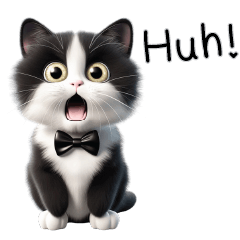 Black and white Cat cute funny face EN