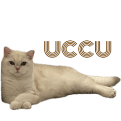 UCCU202312232