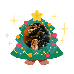SmileSupli_20231223000156