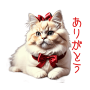 yamane_20231223162040