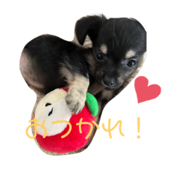 Kichi_20231223203123