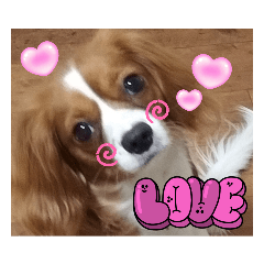 SHELLY_20231223222202